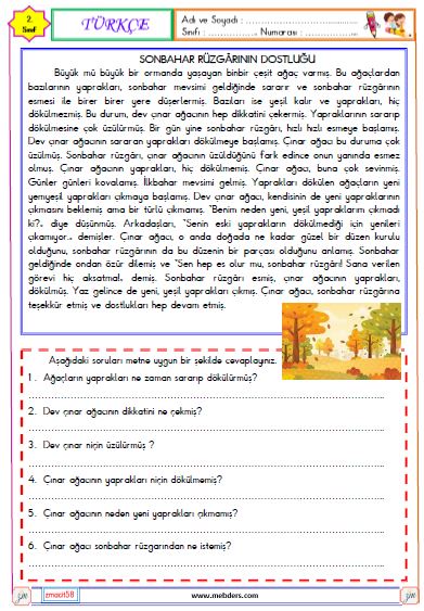 2. Sınıf Türkçe Okuma ve Anlama  Metni Etkinliği ( Sonbahar Rüzgarının Dostluğu )